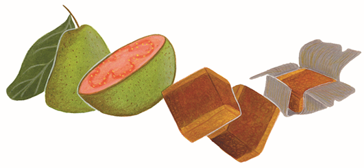 pia taccone bonbons africa